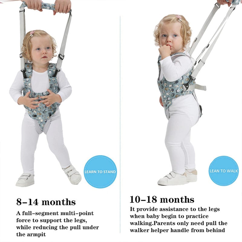 IULONEE Baby Walker, Handheld Kids Toddler Walking Harness Helper Assistant Protective Belt Child Activity Walker Adjustable Standing Up Walking Learning Helper for Toddler 7-24 Month (Blue & Grey) - Image 2