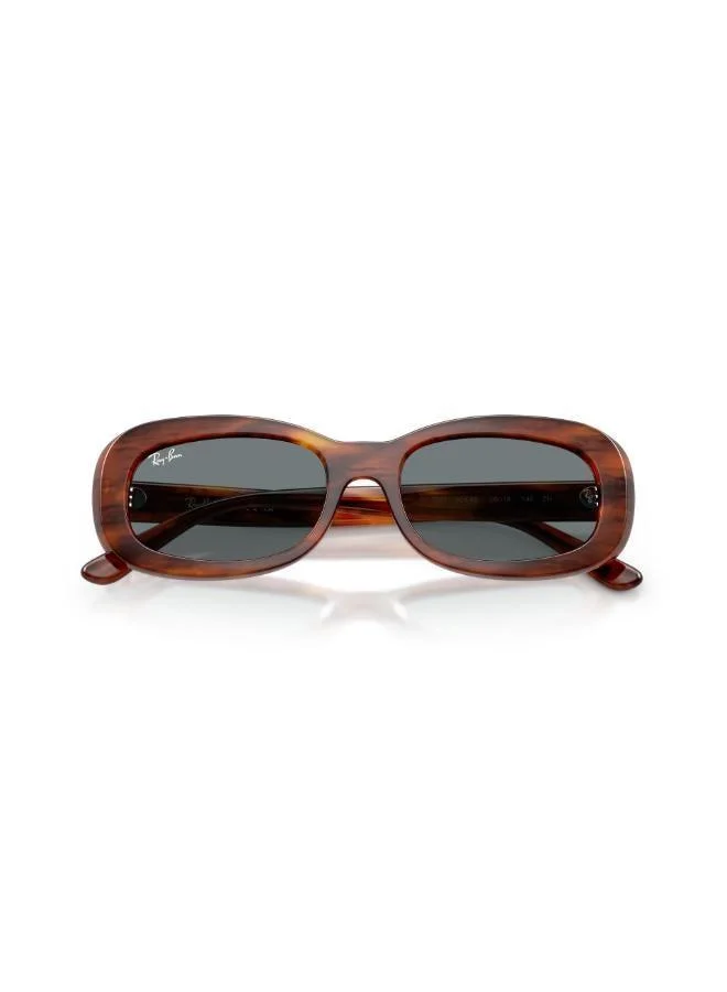 Ray-Ban  Oval Sunglasses for Women | Best Price UAE