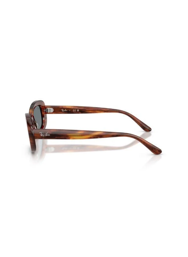 Ray-Ban  Oval Sunglasses for Women | Best Price UAE