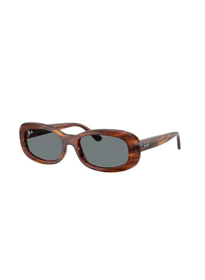 Ray-Ban  Oval Sunglasses for Women | Best Price UAE