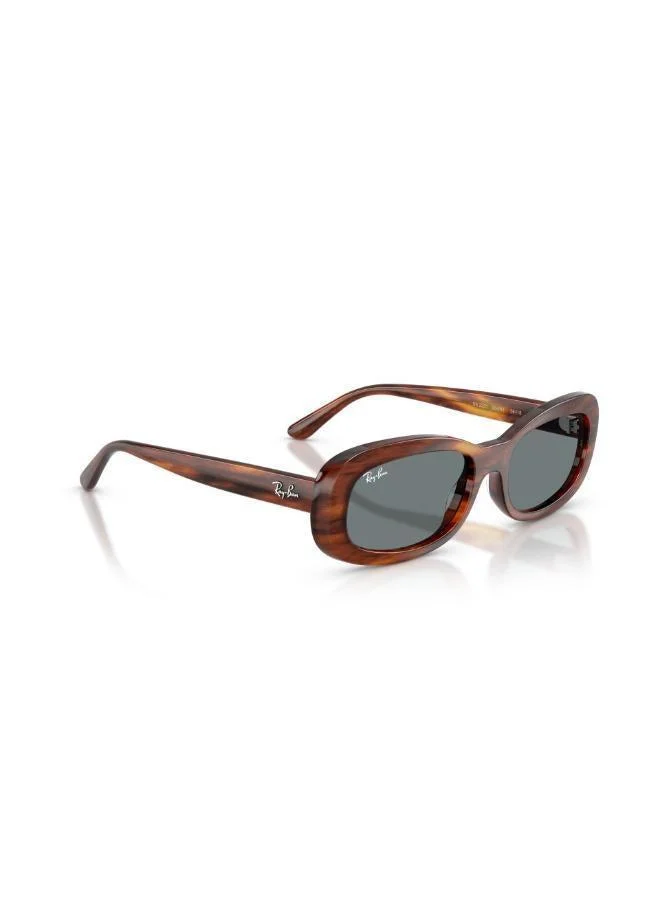 Ray-Ban  Oval Sunglasses for Women | Best Price UAE