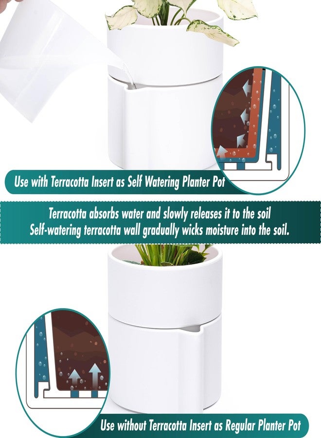 Phoenix Vine 8 Inch Self-Watering Planter Pot with Terracotta Insert, Deep Water Reservoir, and Ceramic-Alike BPA-Free Plastic Planter Pot for Plant, Modern Planter for Houseplants, White, 53-A-T-1 - Image 3