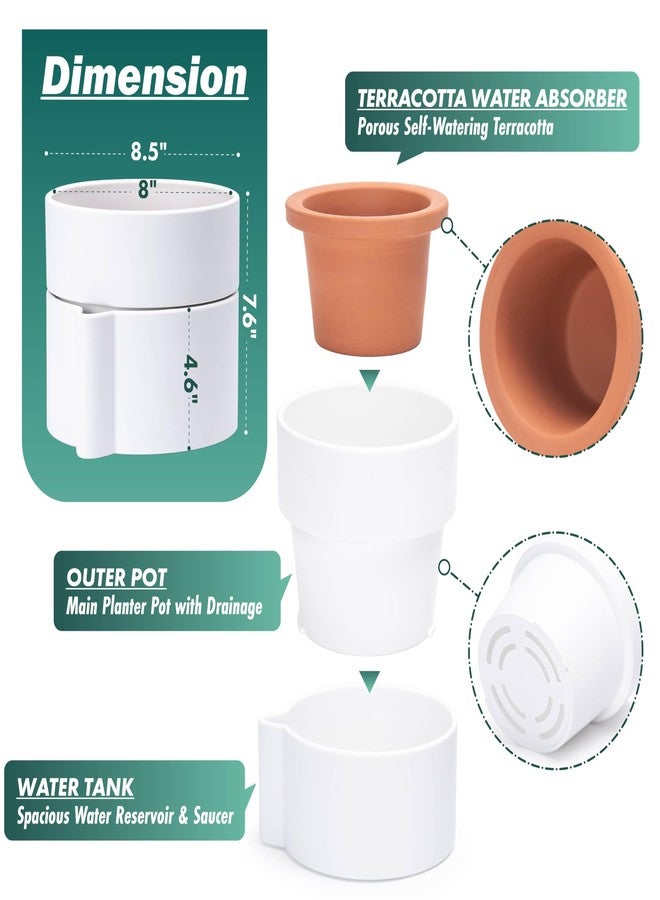 Phoenix Vine 8 Inch Self-Watering Planter Pot with Terracotta Insert, Deep Water Reservoir, and Ceramic-Alike BPA-Free Plastic Planter Pot for Plant, Modern Planter for Houseplants, White, 53-A-T-1 - Image 4