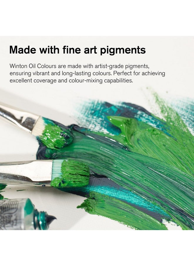 WINSOR & NEWTON Wn Oil Colour Sets - W&N Winton 10X12Ml - Arrival Sets  - Image 4