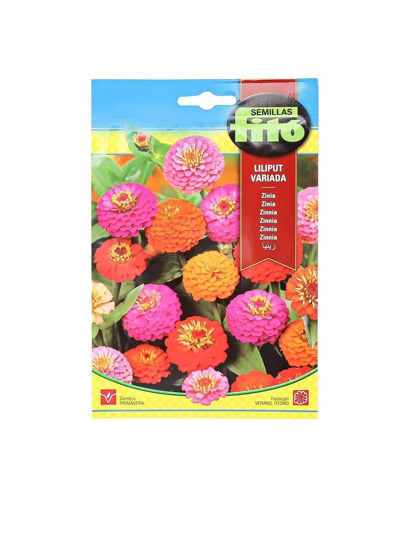 Fito SEMILLAS FITO ZINNIA - LILIPUT VARIADA - Image 3