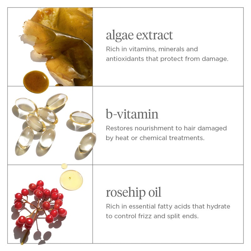 Briogeo Don't Despair, Repair! Deep Conditioning Mask, Deep Conditioner for Dry Damaged or Color Treated Hair, Prevent Future Breakage, Protein Mask for Stronger Hair, Vegan, Cruelty-Free, 2 fl oz - Image 3