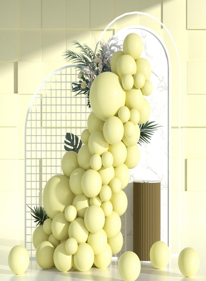 Janinus Double Stuffed Pastel Yellow Balloon Arch Kit - Double Stuffed Light Yellow Balloons Garland Pale Yellow Balloons Different Sizes 5 12 18 inch for Sunflower Balloon Arch Honey Bee Baby Shower Birthday - Image 1