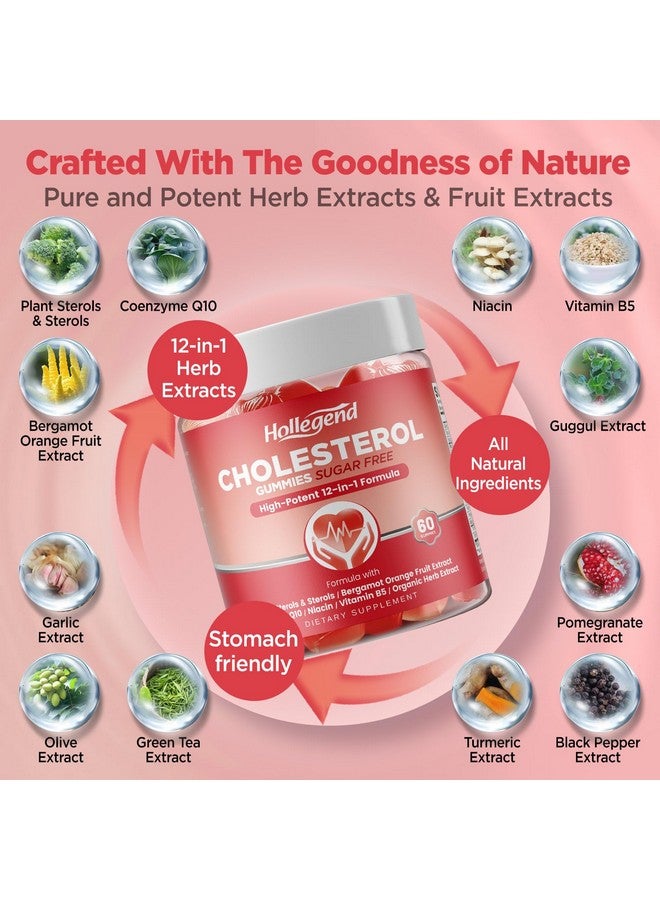 Hollegend هوليجند جوميز خالية من السكر للكوليسترول، 12 في 1 مكملات كوليسترول مع ستيرولات نباتية، برغموت الحمضيات، CoQ10 وفيتامينات لصحة الكوليسترول، نباتي، نكهة التوت المختلط، 60 حبة - Image 3