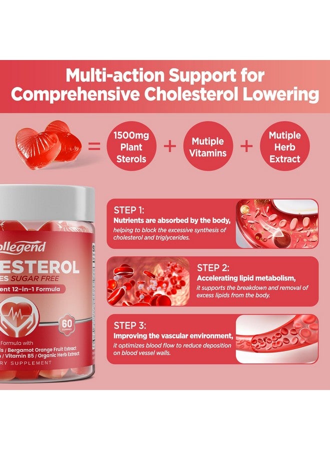 Hollegend هوليجند جوميز خالية من السكر للكوليسترول، 12 في 1 مكملات كوليسترول مع ستيرولات نباتية، برغموت الحمضيات، CoQ10 وفيتامينات لصحة الكوليسترول، نباتي، نكهة التوت المختلط، 60 حبة - Image 4