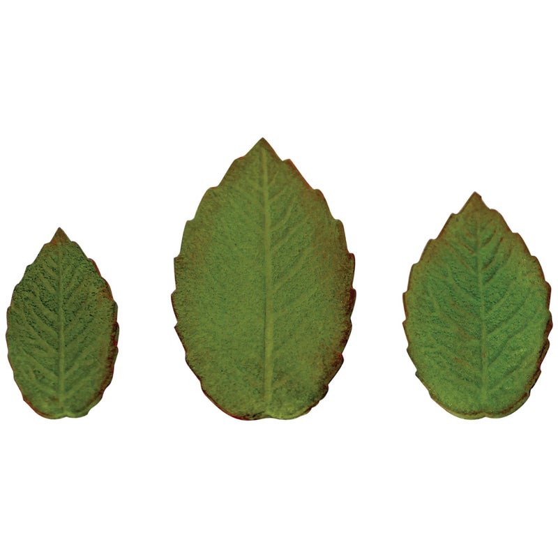 PME Plunger Cutters  Veined Rose Leaf - Image 4