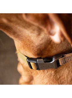 carhartt Carhartt Fully Adjustable Nylon Webbing Collars for Dogs, Reflective Stitching for Visibility, Black (Nylon Webbing), Medium  - Image 5