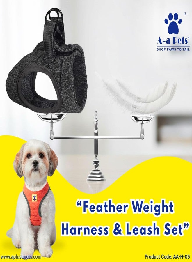 A+a Pets طقم سرج ومقود خفيف الوزن للقطط والكلاب من A+a Pets - مقاوم للهروب، قابل للتعديل، لا يسبب الشد، سترة مبطنة ناعمة للقطط الفارسية والقطط الصغيرة والكلاب الصغيرة (رمادي، متوسط) - Image 3