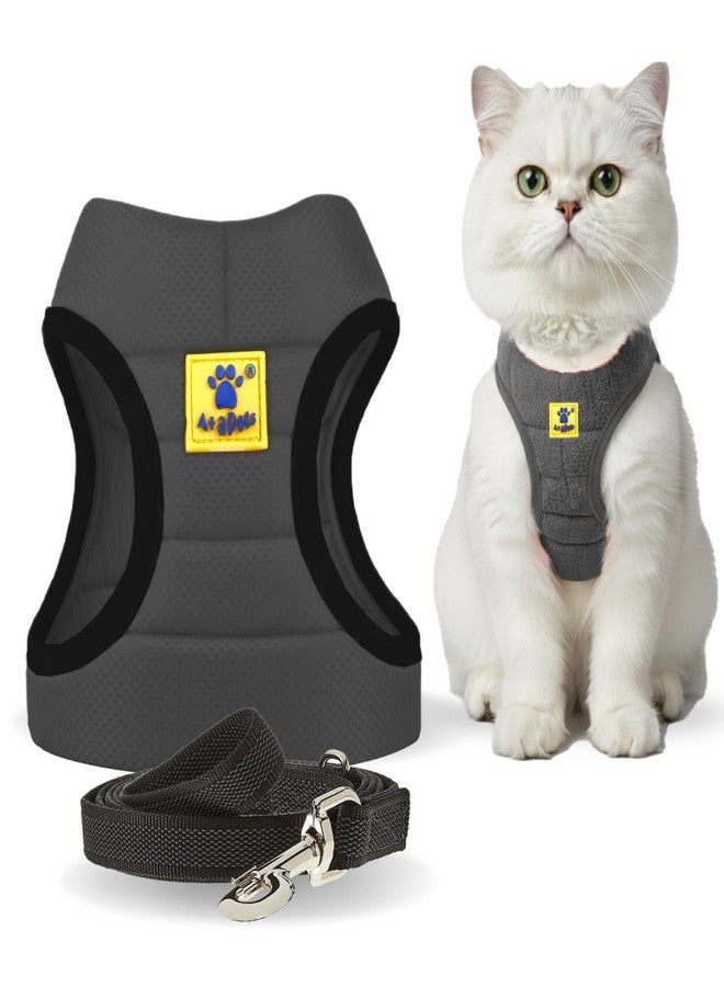 A+a Pets طقم سرج ومقود خفيف الوزن للقطط والكلاب من A+a Pets - مقاوم للهروب، قابل للتعديل، لا يسبب الشد، سترة مبطنة ناعمة للقطط الفارسية والقطط الصغيرة والكلاب الصغيرة (رمادي، متوسط) - Image 1