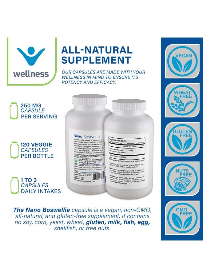 One Planet Nutrition - Nano Boswellia 250Mg Nanoparticle Boswellia Serrata Supplement Frankincense Supplement Support Supplements  Herbal Vitamins Boswellia Extract 120 Veggie Capsule - Image 1