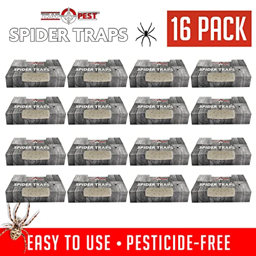 TRAP A PEST Spider Traps for Inside Your Home (16 Traps) - Spider Catcher Insect Traps Indoor - Spider Traps Indoor Bug Traps Sticky Traps for Spiders - Pre Baited Ultra Sticky Insect Glue Traps - Trap a Pest - Image 4