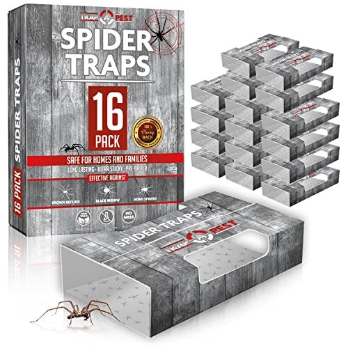 TRAP A PEST Spider Traps for Inside Your Home (16 Traps) - Spider Catcher Insect Traps Indoor - Spider Traps Indoor Bug Traps Sticky Traps for Spiders - Pre Baited Ultra Sticky Insect Glue Traps - Trap a Pest - Image 1