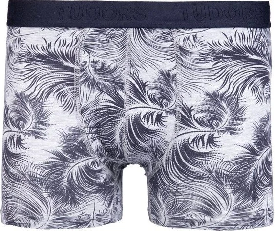 تودورس Men's 2-Piece Cotton Lycra Flexible Fabric Boxer