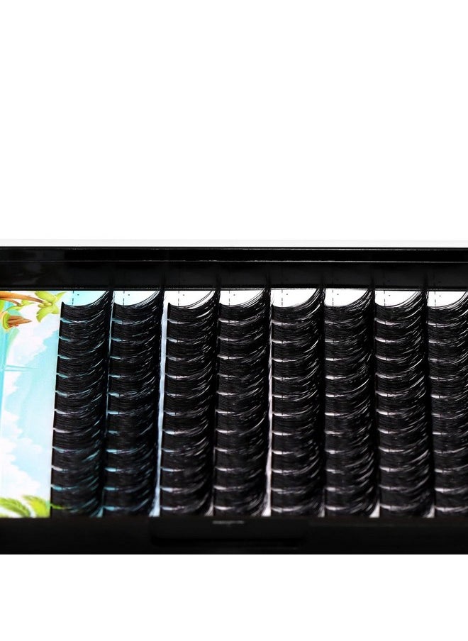 Dedila - Large Pack 8-20Mm To Choose D Curl Cluster Eyelash Extensions D Curl Wide Stem Individual False Eyelashes Dramatic Volume Eye Lashes Set Home Diy Lashes (14Mm) - Image 1