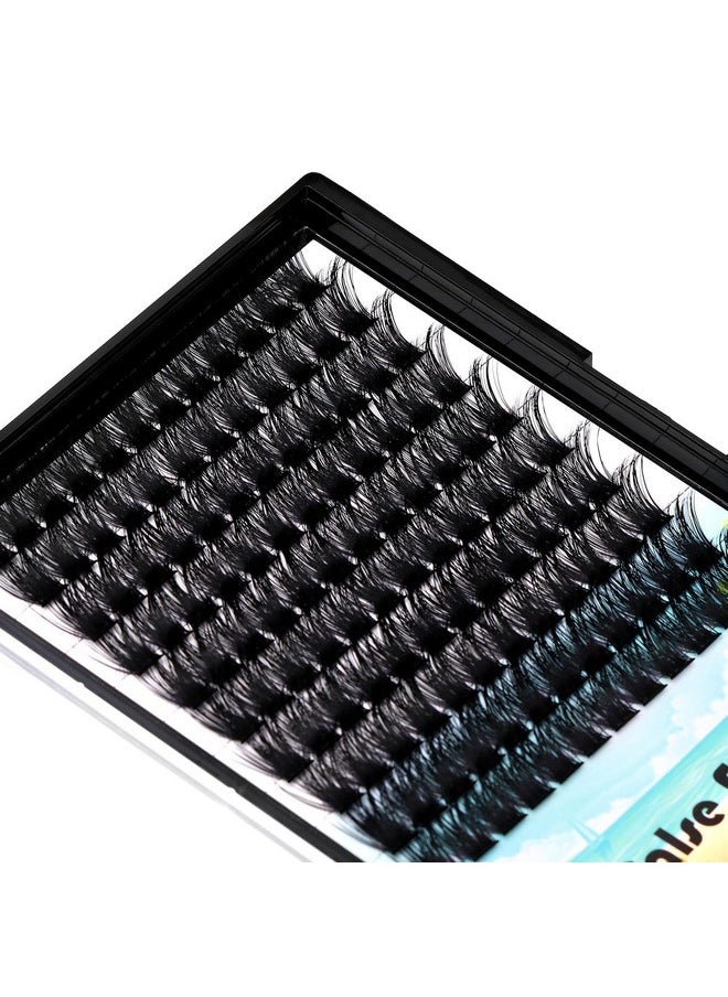 Dedila - Large Pack 8-20Mm To Choose D Curl Cluster Eyelash Extensions D Curl Wide Stem Individual False Eyelashes Dramatic Volume Eye Lashes Set Home Diy Lashes (14Mm) - Image 1