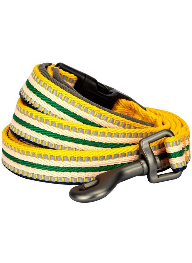 Blueberry Pet 3M Reflective Multi-Colored Stripe Dog Leash with Soft & Comfortable Handle, 4 ft x 1", Yellow & Green, Large, Leashes for Dogs - pzsku/Z4EAAA4D765AE88CF21A0Z/45/_/1737031931/c2c2be5c-3bab-459e-bb57-ffef493c667e