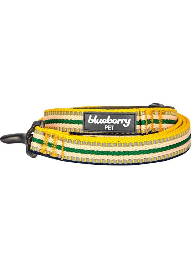 Blueberry Pet 3M Reflective Multi-Colored Stripe Dog Leash with Soft & Comfortable Handle, 4 ft x 1", Yellow & Green, Large, Leashes for Dogs - pzsku/Z4EAAA4D765AE88CF21A0Z/45/_/1737032067/13a14ac6-127e-4df4-8290-6bf901ebb9fe