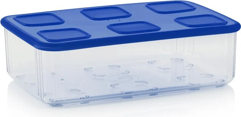 توبروير Transparent Container Set of 4