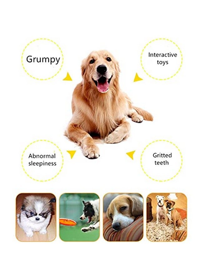 لعبة كرة بلاستيكية متينة تفاعلية لتدريب الحيوانات الأليفة على الذكاء وتصدر أصواتًا صريرية، مثالية للعب ومضغ الكلاب والجراء (قد يختلف اللون) - Image 3