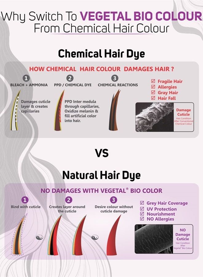 Vegetal لون بيولوجي - أسود ناعم 150 جرام. - Image 4