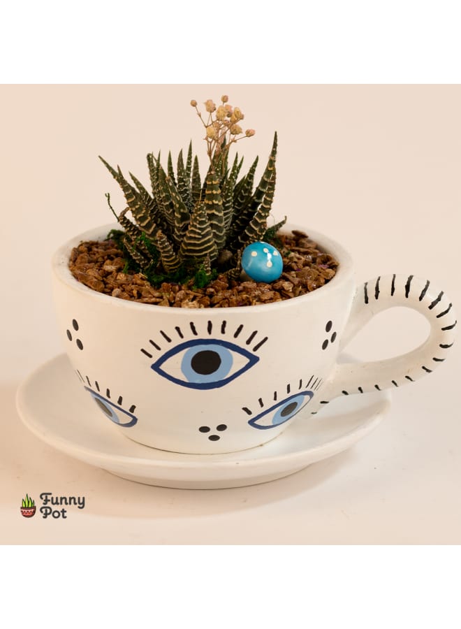 بوت صبار طبيعي - أبيض - 18*10 سم