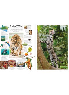Eyewitness Encyclopedia Poster Book: More Than 30 Reversible Tear-Out Posters  - Image 3