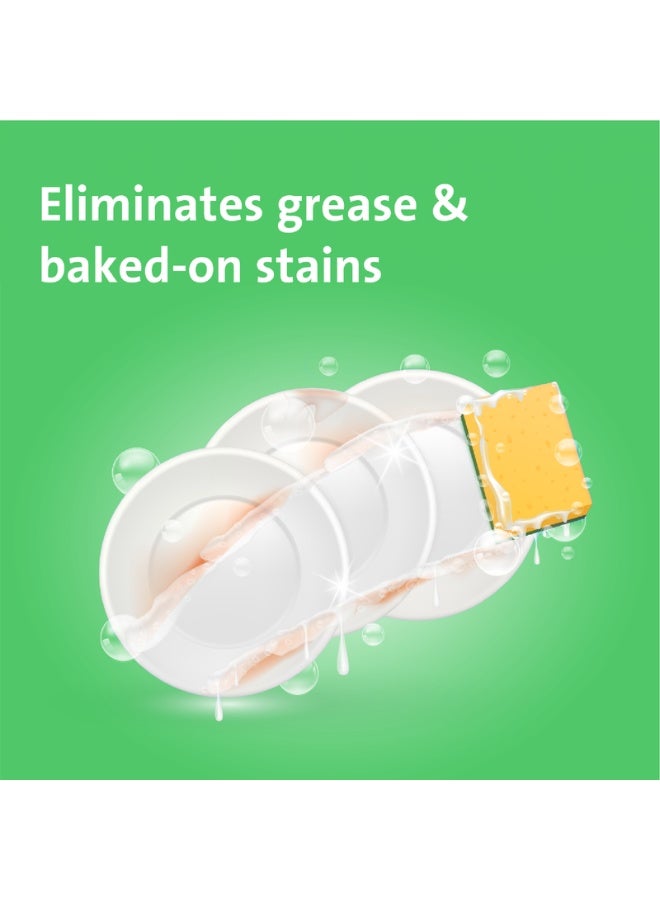 loyal سائل غسيل الصحون بنكهة الليمون وزيت الصنوبر الأخضر 1000 مل - Image 2