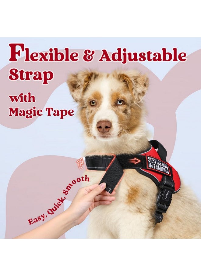 rabbitgoo Dog Harness Medium Sized, No Pull No Choke Pet Vest, Easy Wearing with One Buckle, Reflective, Adjustable Pet Harness with Molle for Walking, Training, Red, M - pzsku/Z4EAE42EE289128423602Z/45/_/1737031777/eb66cd36-9088-473a-873a-9e488393a439