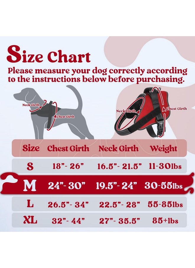 rabbitgoo Dog Harness Medium Sized, No Pull No Choke Pet Vest, Easy Wearing with One Buckle, Reflective, Adjustable Pet Harness with Molle for Walking, Training, Red, M - pzsku/Z4EAE42EE289128423602Z/45/_/1737031781/05f95230-a831-4129-8ba9-662ad6f38ff5