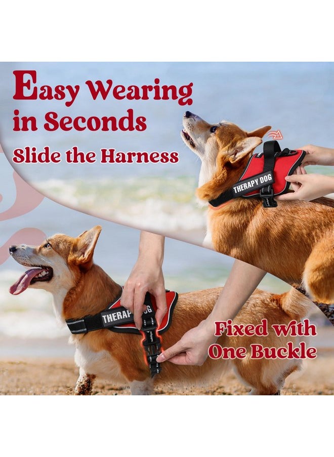 rabbitgoo Dog Harness Medium Sized, No Pull No Choke Pet Vest, Easy Wearing with One Buckle, Reflective, Adjustable Pet Harness with Molle for Walking, Training, Red, M - pzsku/Z4EAE42EE289128423602Z/45/_/1737031791/6967a99c-5eeb-4f52-b347-baf1929cb73e