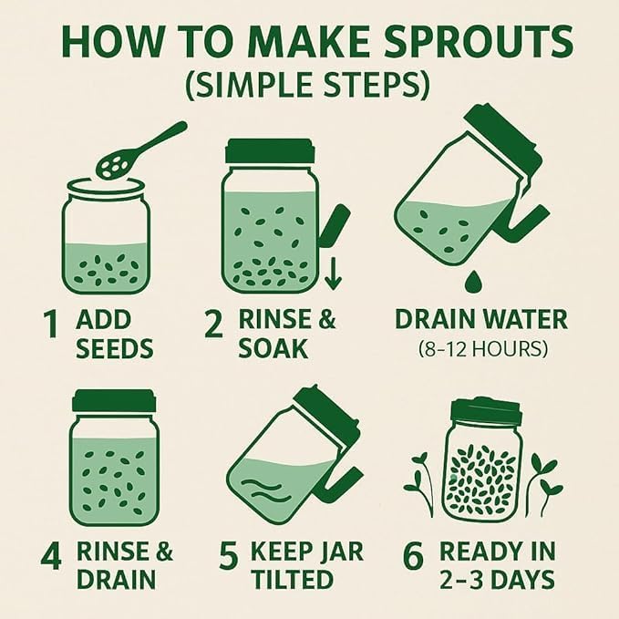MOROVIK Sprouts Maker Jar – 720ml Durable & Reusable Sprouter for All Seeds and Beans, BPA-Free with 300-Hole Mesh Lid for Airflow, Odor-Free, Easy Drainage, and Hygienic Design – Green (MULTI) - Image 5