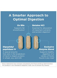 designs for health Digestzymes - Promotes Digestive Comfort, Gastrointestinal Health lactase / Gulten Peptidase / Betaine HCL Dietary Supplement 90 Capsules  - Image 4