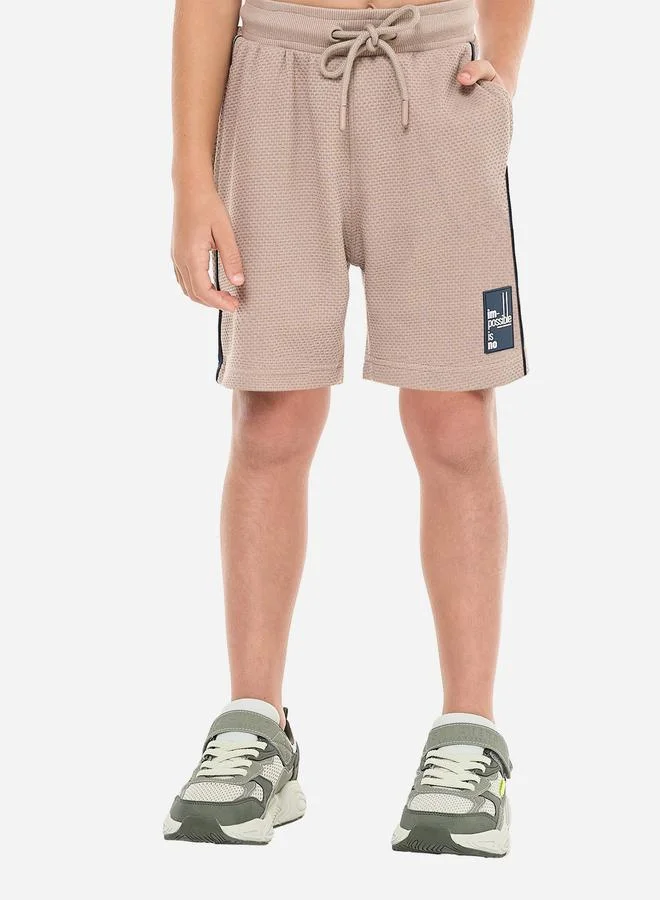 victor and jane Victor And Jane Boys Brown Textured Knit T-Shirt and Shorts Set