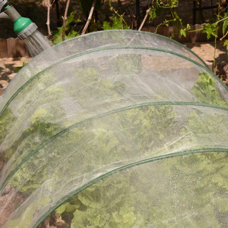 Gardeningwill شبكة حشرات طيور بعرض 8 أقدام وطول 10 أقدام لحماية النباتات والفاكهة والزهور - Image 5