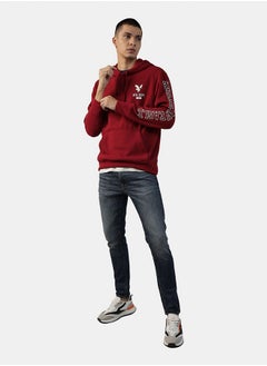 American Eagle AE Graphic Hoodie  - Image 1