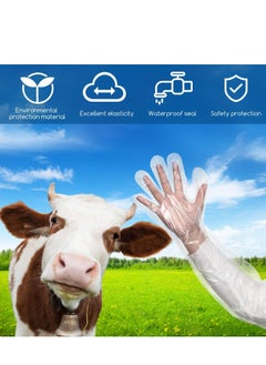 Y&D Disposable Field Dressing Gloves, 50 Pcs Veterinary Gutting Long Arm Gloves for Deer Gardening Painting Full  - Image 5