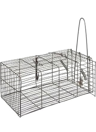 Wire mouse trap used to catch mice - pzsku/Z4EB90A77B1858C6634C3Z/45/_/1722424393/6cf1b480-afd5-47c7-9b1c-ae766ac440e1