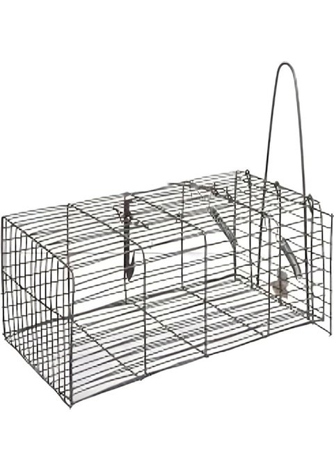 Wire mouse trap used to catch mice