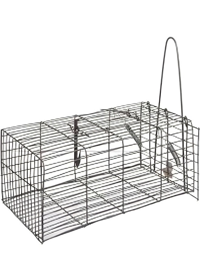 Generic Wire mouse trap used to catch mice 