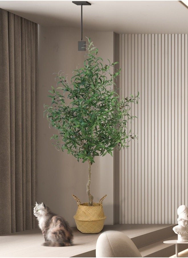 FPC - Artificial Olive Tree Tall Fake Potted Olive Silk Tree with Planter Large Faux Olive Branches and Fruits Artificial Tree for Modern Home Office Living Room Floor Decor Indoor With White Basin - Image 1