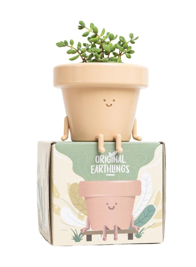 Generic Indoor Plant Pot Unique Cute Plastic Flower Pot With Face 3.5 Inch Succulent/Cactus Planter Plant Lover Gift Decorative Novelty Planter  - Image 1