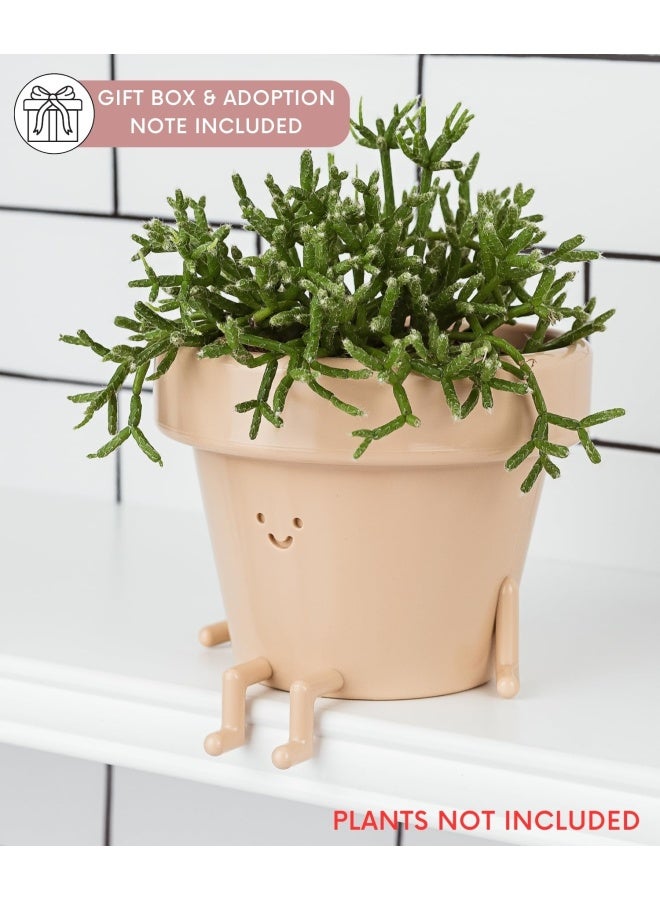 Generic Indoor Plant Pot Unique Cute Plastic Flower Pot With Face 3.5 Inch Succulent/Cactus Planter Plant Lover Gift Decorative Novelty Planter  - Image 3