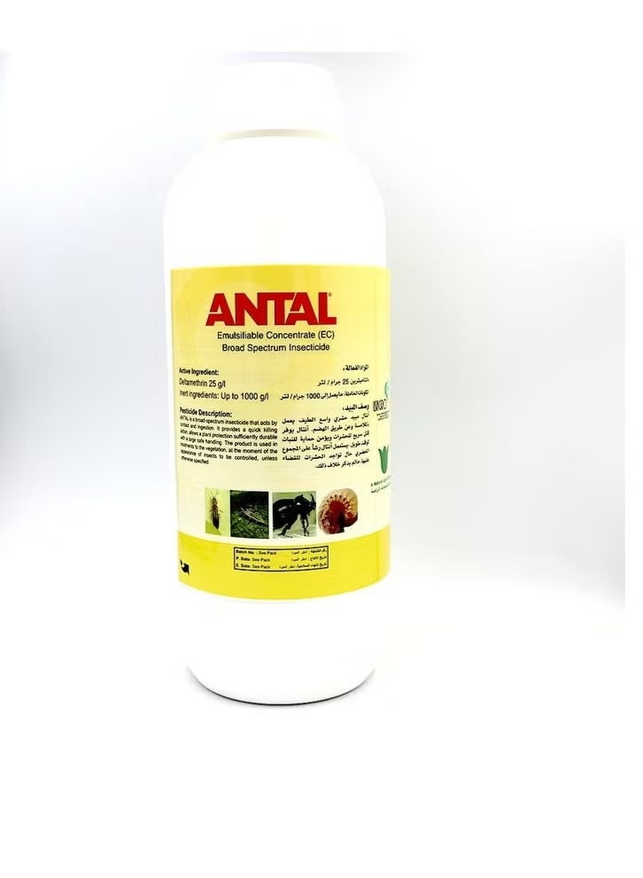 general ANTAL Broad Spectrum Insecticides 1000ml ITALY