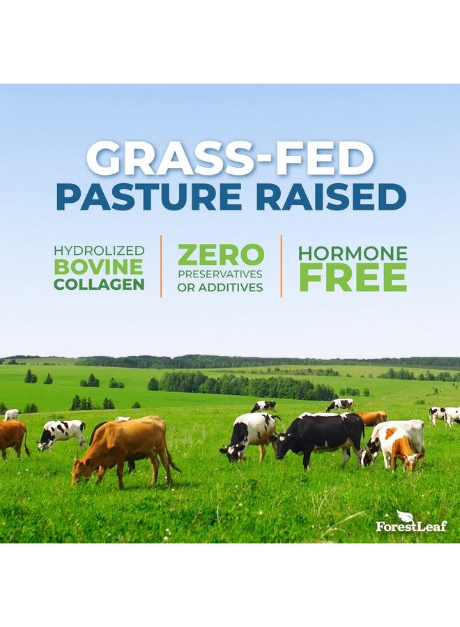 ForestLeaf مسحوق ببتيدات الكولاجين غير المنكه - مسحوق بروتين الكولاجين المهدرج من النوع 1 و 2 و 3 - مسحوق كولاجين كيتو من حيوانات تتغذى على العشب للنساء والرجال - مهم للشعر والبشرة والأظافر والمفاصل والتعافي، 11 جرام لكل حصة - Image 4