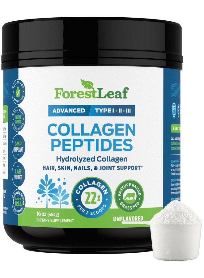 ForestLeaf مسحوق ببتيدات الكولاجين غير المنكه - مسحوق بروتين الكولاجين المهدرج من النوع 1 و 2 و 3 - مسحوق كولاجين كيتو من حيوانات تتغذى على العشب للنساء والرجال - مهم للشعر والبشرة والأظافر والمفاصل والتعافي، 11 جرام لكل حصة - Image 1