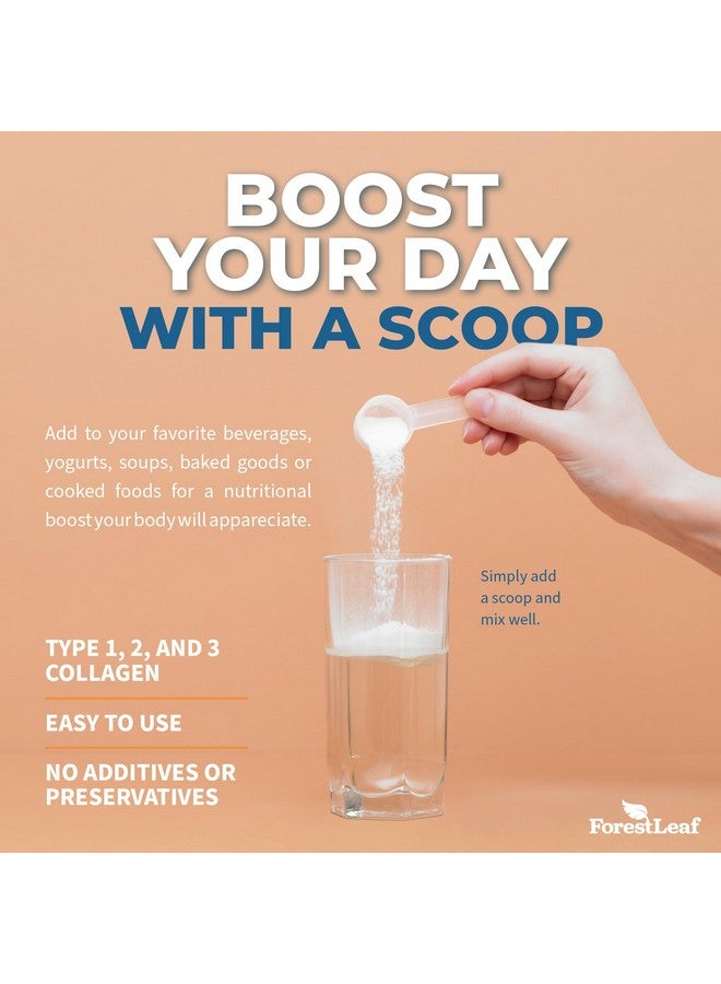 ForestLeaf مسحوق ببتيدات الكولاجين غير المنكه - مسحوق بروتين الكولاجين المهدرج من النوع 1 و 2 و 3 - مسحوق كولاجين كيتو من حيوانات تتغذى على العشب للنساء والرجال - مهم للشعر والبشرة والأظافر والمفاصل والتعافي، 11 جرام لكل حصة - Image 5